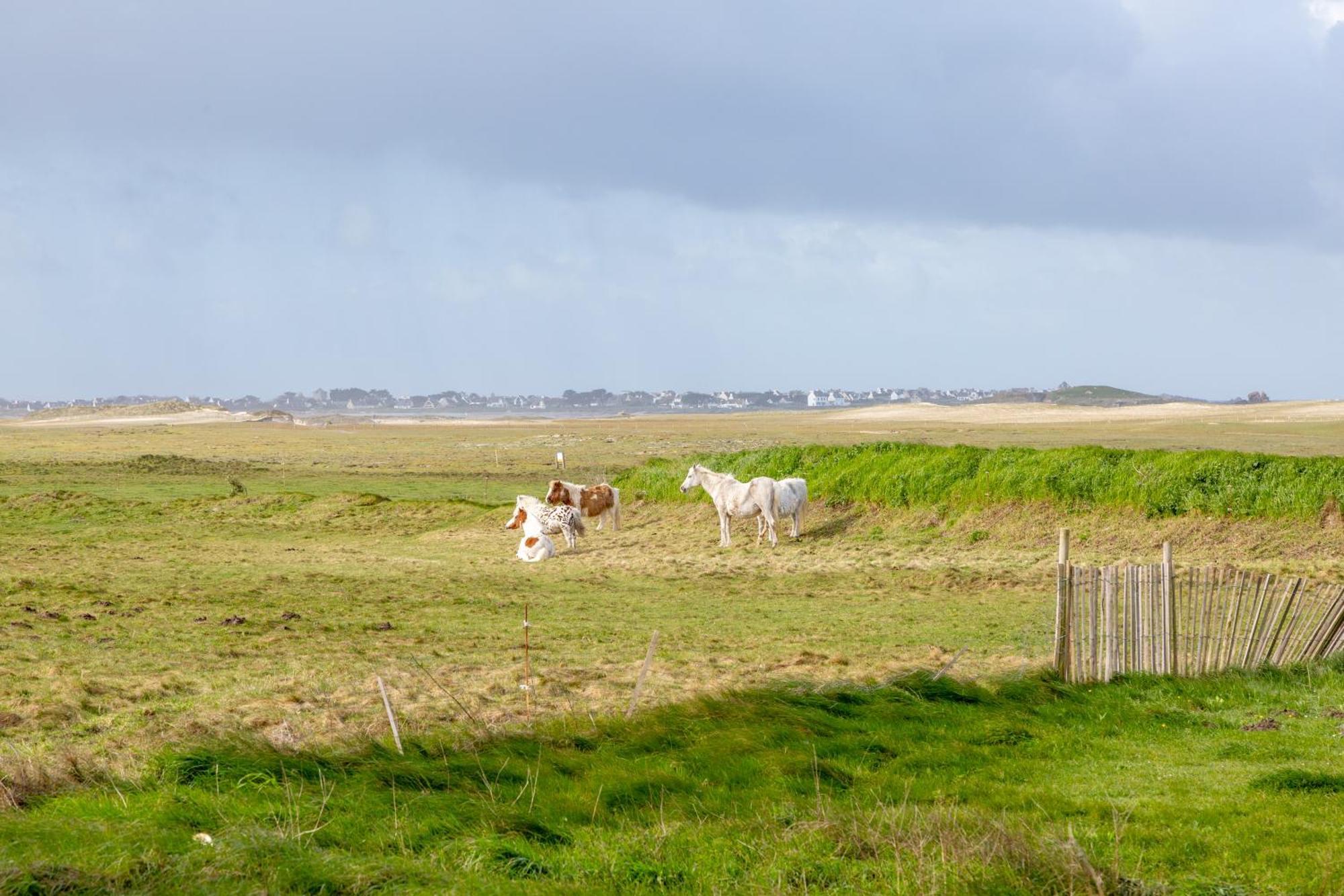 Ty Mam-Goz - Pointe De La Torche Villa Plomeur Eksteriør billede